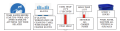 Thumbnail for version as of 13:42, 5 May 2025
